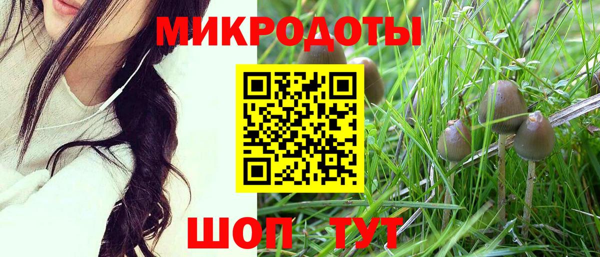 Галлюциногенные грибы Magic Shrooms Краснодар