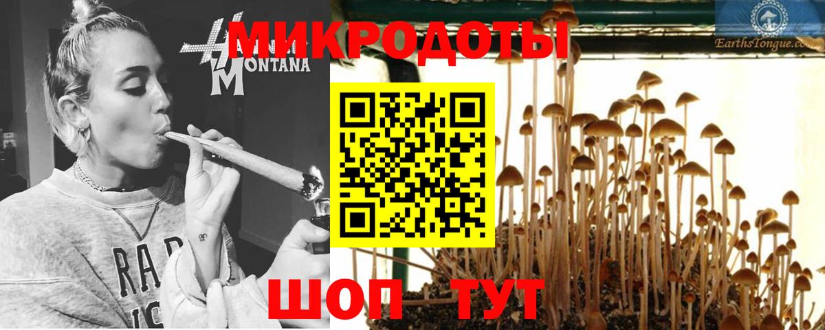 Краснодар  Псилоцибиновые грибы Magic Shrooms  Галлюциногенные грибы Psilocybine cubensis  Вход с VPN 